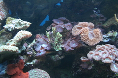 Killikus&reg; Fotographie